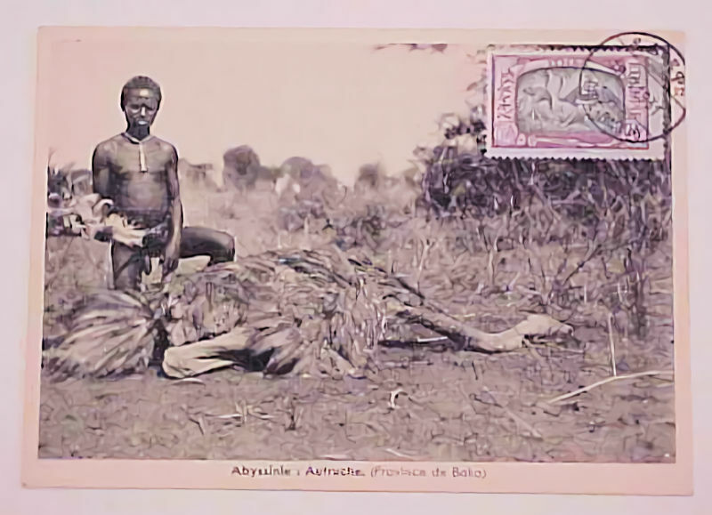 Ethiopia  Maxi Card 1931  Hunting Ostriche
